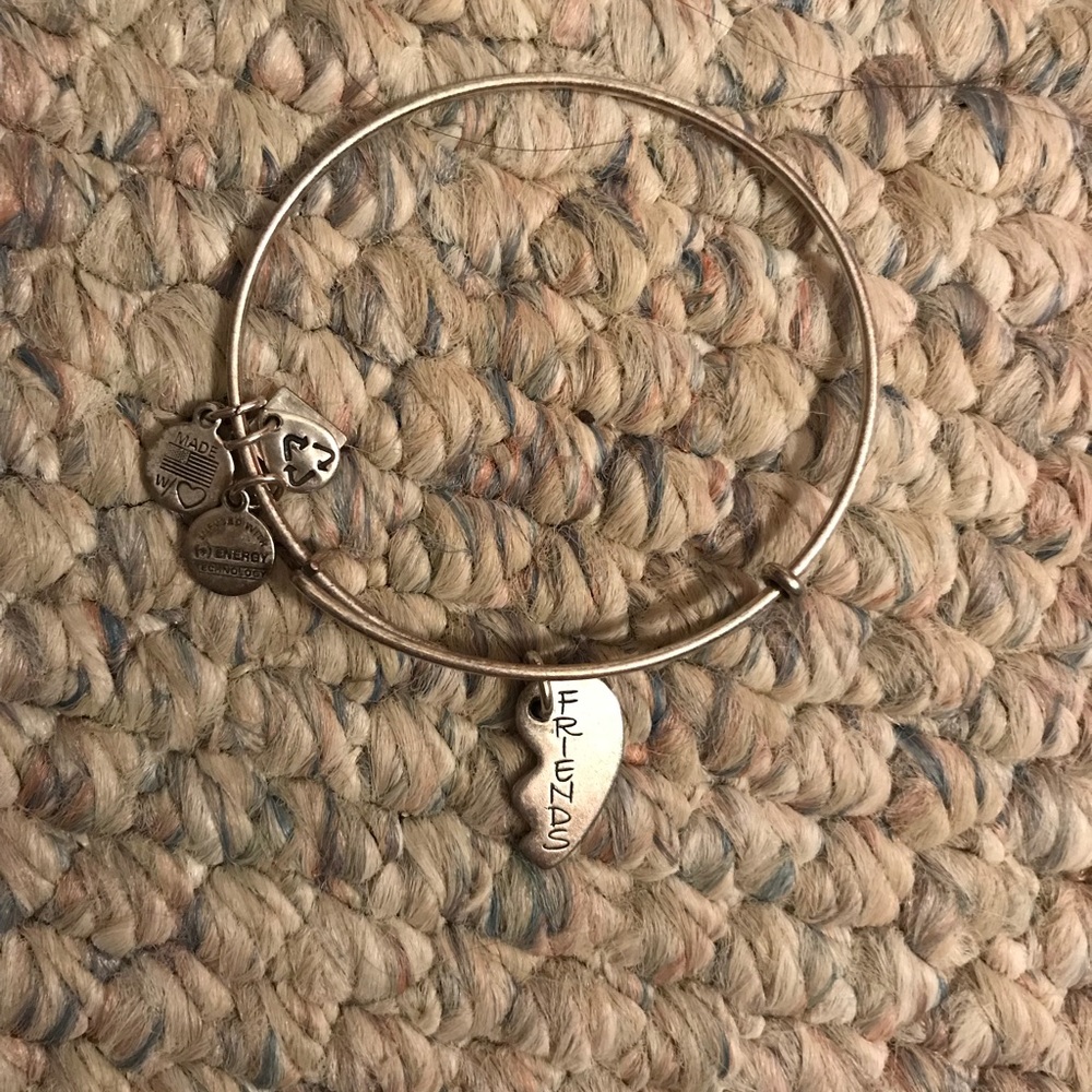 Alex and Ani friendship bracelet!